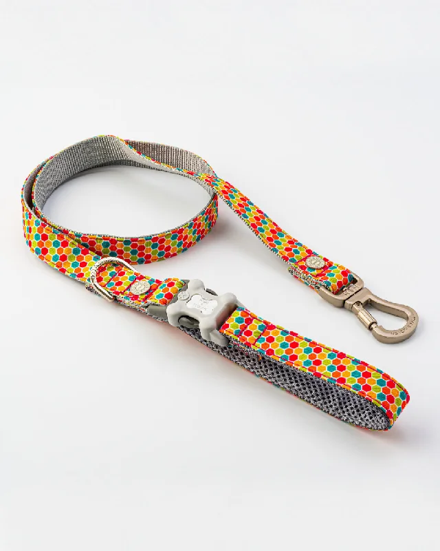  . **Dog toy sound ball**Geometric Multi-colour Fabric Dog Lead