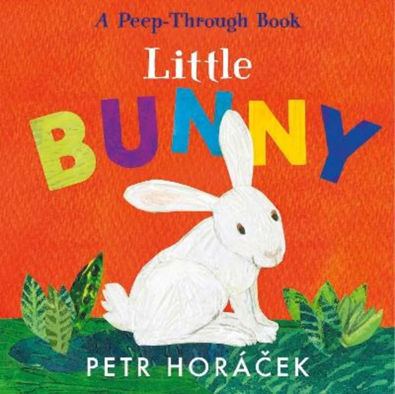 ---Little Bunny